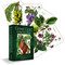 Green Gold: A Plant Spirit Oracle (Ancestral Wisdom & Ethno-Botanical Healing) by Star Feliz, 9781578639267