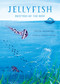 Jellyfish (Drifters of the Deep) by Silvia Lazzarino, Lawrence Schimel, 9781459843820