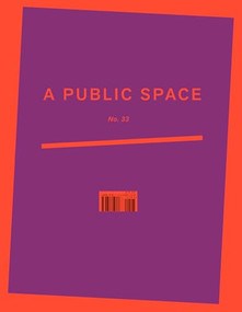 A Public Space No. 33 by Brigid Hughes, 9781734590708