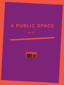 A Public Space No. 33 by Brigid Hughes, 9781734590708