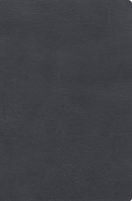 RVR 1960 Biblia de estudio letra gigante, gris, símil piel con índice (Spanish Edition) by B&H Español Editorial Staff, 9798384548164