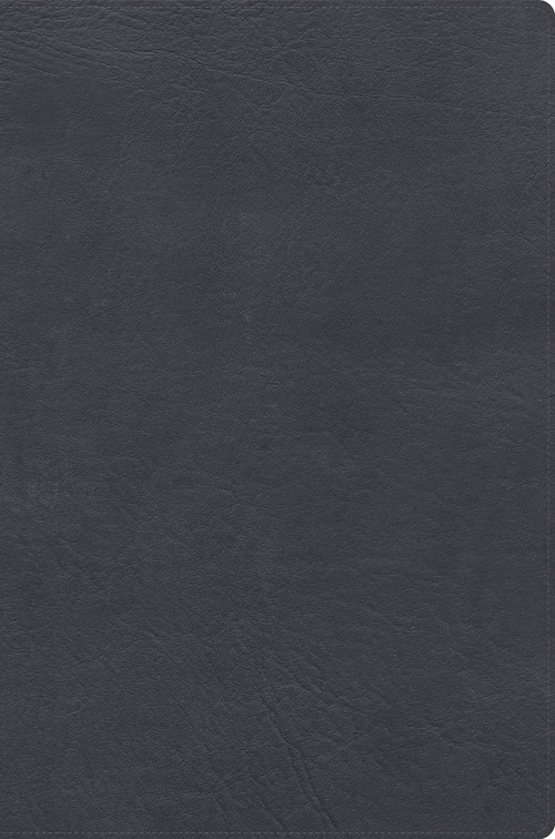 RVR 1960 Biblia de estudio letra gigante, gris, símil piel con índice (Spanish Edition) by B&H Español Editorial Staff, 9798384548164