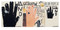Rose Wylie (The Picture Comes First) - 9781915815224 by Katharine Stout, Jennifer Higgie, Frances Morris