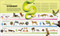 Animals A Visual Compendium (A Breathtaking Visual Tour of the Animal Kingdom) by DK, 9798217307340