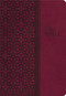 KJV Study Bible, Leathersoft, Red/Pink, Thumb Indexed, Red Letter (Second Edition) by Thomas Nelson, 9781401680336