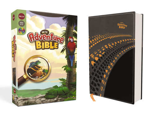 NKJV, Adventure Bible, Leathersoft, Gray, Full Color by Lawrence O. Richards, 9780310154303