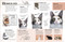 Mi gato (My Cat) (Una guía práctica para cuidar de tu mascota) (Spanish Edition) by Jess French, 9798217313013