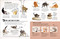 Mi gato (My Cat) (Una guía práctica para cuidar de tu mascota) (Spanish Edition) by Jess French, 9798217313013