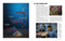The Star Trek Archive (100 Objects and Stories from the Final Frontier) by Ben Robinson, Insight Editions, 9798337404516