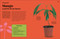 Cómo cultivar sin huerto (Grow Your Groceries) (Spanish Edition) by Simon Akeroyd, 9798217312863