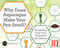 Why Does Asparagus Make Your Pee Smell? (Fascinating Food Trivia Explained with Science) by Andy Brunning, 9781612435510