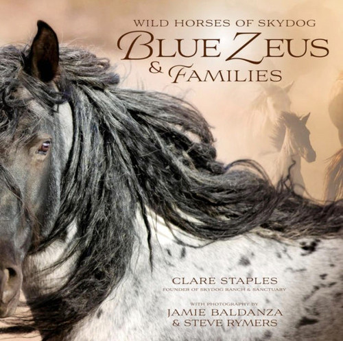 Wild Horses of Skydog by Clare Staples, 9781646012138