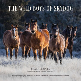Wild Boys of Skydog by Clare Staples, 9781646012763
