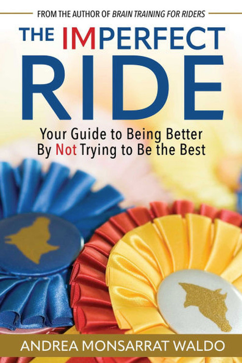 The Imperfect Ride (Your Guide to Being Better By Not Trying to Be the Best) by AndreaMonsarrat Waldo, 9781646012794