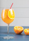 The Hard Seltzer Cocktail Book (55 Unofficial Recipes for White Claw® Slushies, Truly® Mixers, and More Spiked-Seltzer Drinks) by Casie Vogel, 9781646041855