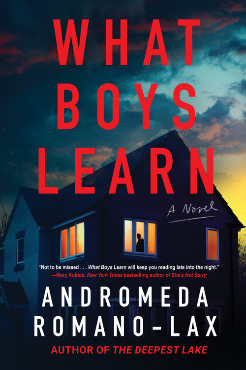 What Boys Learn by Andromeda Romano-Lax, 9781641296915