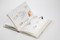 Cuaderno del Prado / The Prado Notebook (Spanish Edition) by Ximena Maier, 9788426432933