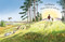 What Shall We Do, Winnie-the-Pooh? by Jeanne Willis, Mark Burgess, 9780593697481