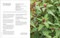 Edimentals (Edible Plants to Grow & Enjoy) by Huw Richards, 9798217307524