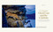 Big Cats - 9781426224171 by Steve Winter, Sharon Guynup