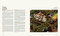 Big Cats - 9781426224171 by Steve Winter, Sharon Guynup