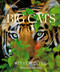 Big Cats - 9781426224171 by Steve Winter, Sharon Guynup