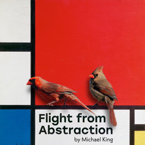 Flight from Abstraction by Michael King, 9781634051033