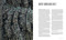 Monarchs by Jaime Rojo, 9781426225390