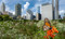 Monarchs by Jaime Rojo, 9781426225390