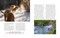Saved by the Pack (How 50 Dogs Helped Me Find My Purpose) by Lee Asher, 9781426224706