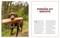 Saved by the Pack (How 50 Dogs Helped Me Find My Purpose) by Lee Asher, 9781426224706