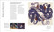 The Art of Science (A Visual Story of Scientific Discovery) by DK, 9798217305513