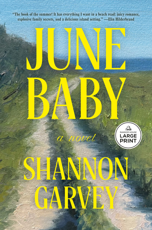June Baby (A Novel) - 9798217411672 by Shannon Garvey