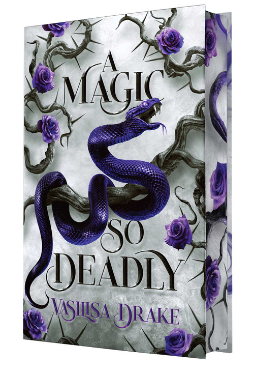 A Magic So Deadly by Vasilisa Drake, 9798347117062
