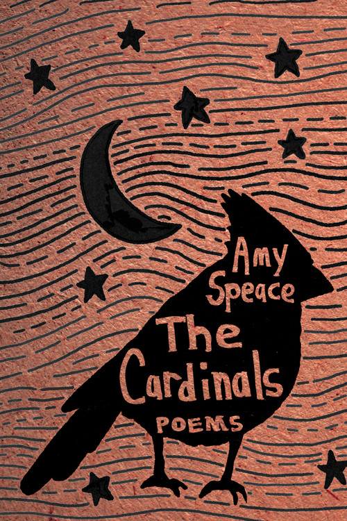 The Cardinals - 9781636284682 by Amy Speace, 9781636284682