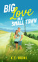 Big Love in a Small Town (A clean, secret baby romance) by K.T. Raine, 9781036713508