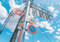 Akine Coco Photography Collection Like a scene from an Anime (Japanese Edition) by Akine Coco, 9784875867524