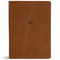 CSB Women's Study Bible, Saddle Brown Genuine Leather by Stefana Dan Laing, CSB Bibles by Holman, 9798384518327