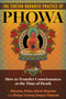 The Tibetan Buddhist Practice of Phowa (How to Transfer Consciousness at the Time of Death) by Khenchen Palden Sherab Rinpoche, Khenpo Tsewang Dongyal Rinpoche, 9798888504581