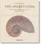 The Secret Code - 9783836507110 by Priya Hemenway, 9783836507110