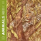 Animals Hide by Kate Riggs, Anne Yvonne Gilbert, 9781568464138