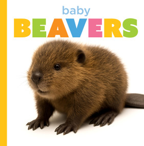 Baby Beavers by Graham Morgan, 9798896801030