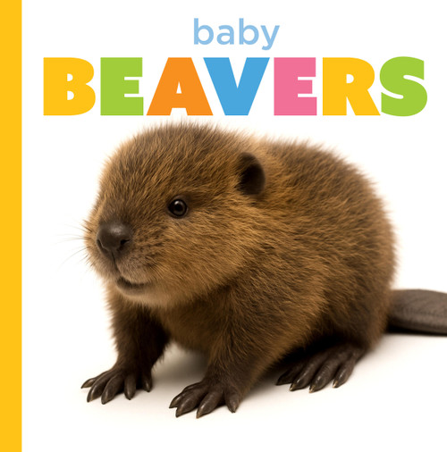 Baby Beavers by Graham Morgan, 9798896801030
