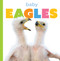 Baby Eagles - 9798896801054 by Graham Morgan, 9798896801054