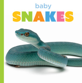 Baby Snakes by Graham Morgan, 9798896801085