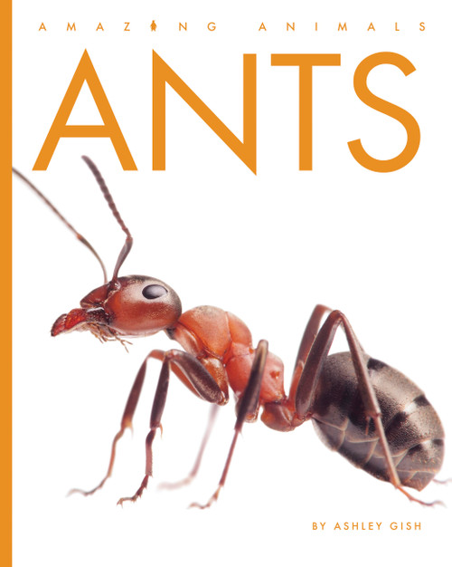 Ants - 9798896801238 by Ashley Gish, 9798896801238