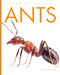 Ants - 9798896801238 by Ashley Gish, 9798896801238