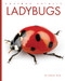 Ladybugs - 9798896801269 by Ashley Gish, 9798896801269