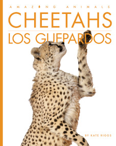 Cheetahs / Los guepardos (Spanish Edition) by Kate Riggs, 9798896801320