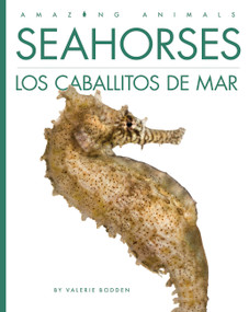 Seahorses / Los caballitos de mar (Spanish Edition) by Valerie Bodden, 9798896801351